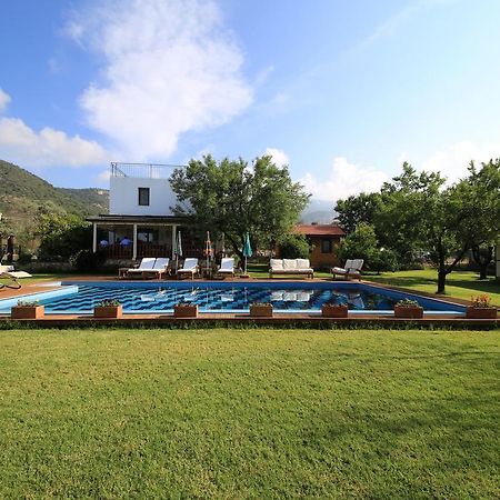 Bal Badem Bungalow Datça Exteriér fotografie
