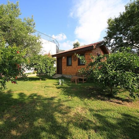 Bal Badem Bungalow Datça Exteriér fotografie