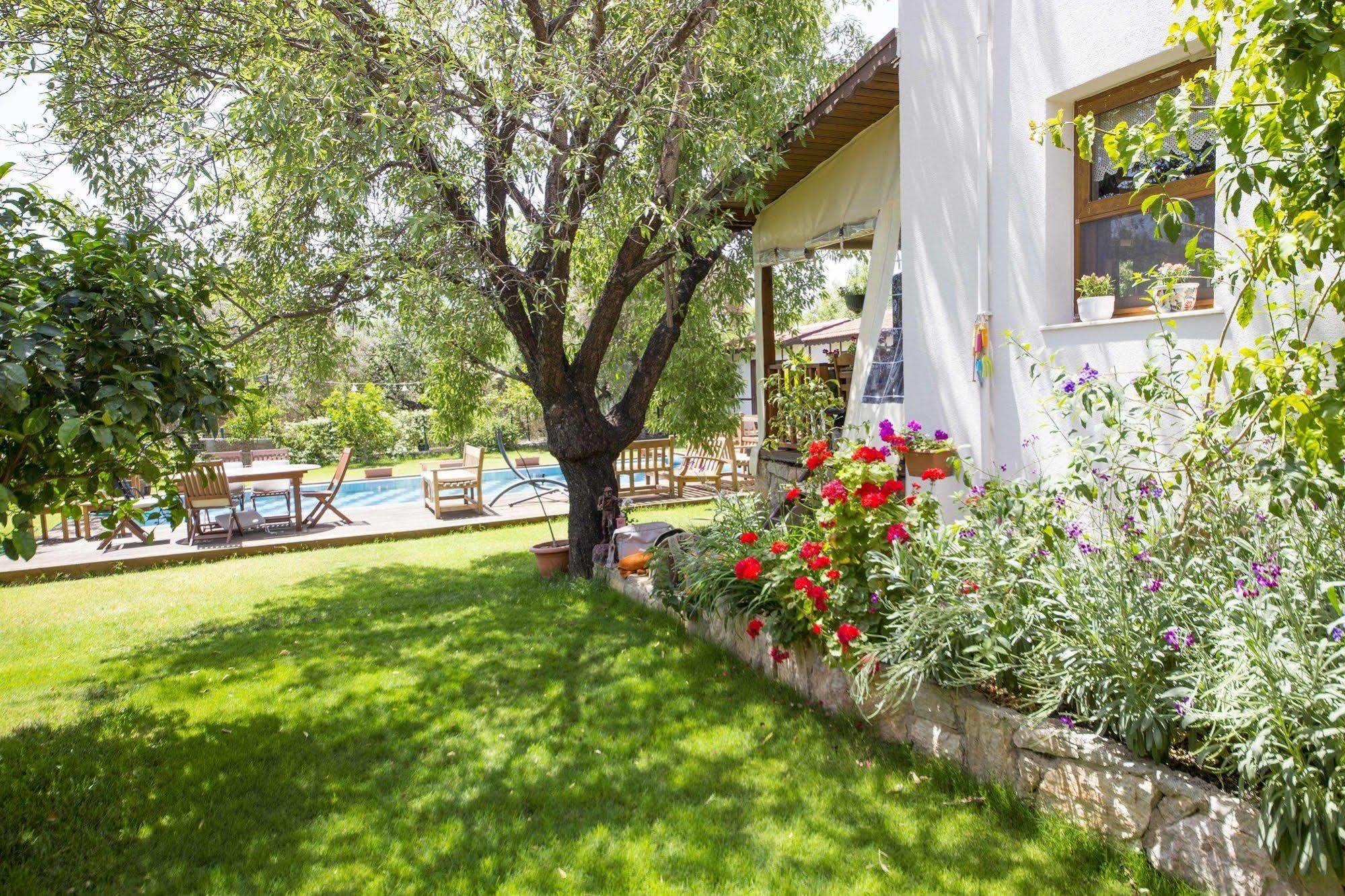 Bal Badem Bungalow Datça Exteriér fotografie