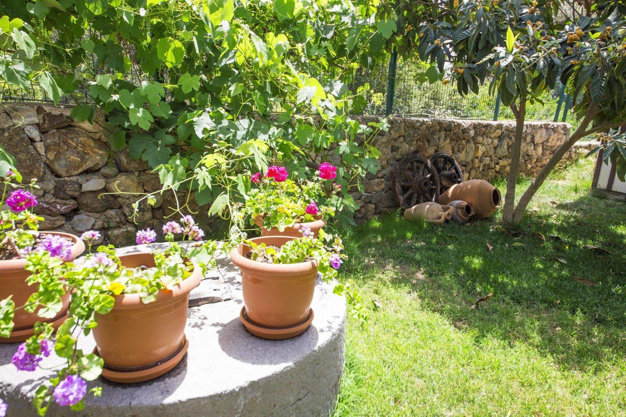 Bal Badem Bungalow Datça Exteriér fotografie